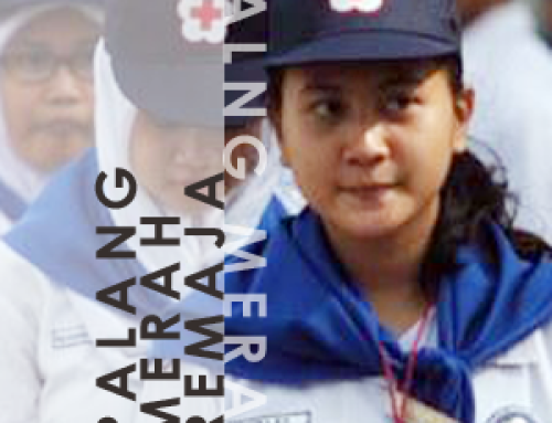 10 Things to know about your Alaskan Malamute